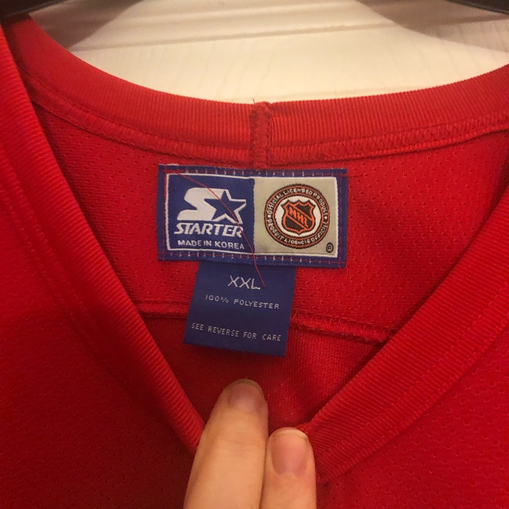 Red Wings jersey